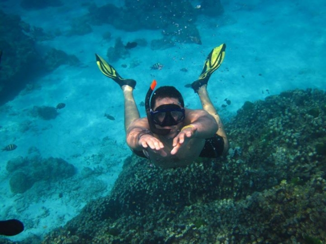 snorkel en arrecifes